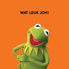 Wat leuk joh The Muppets